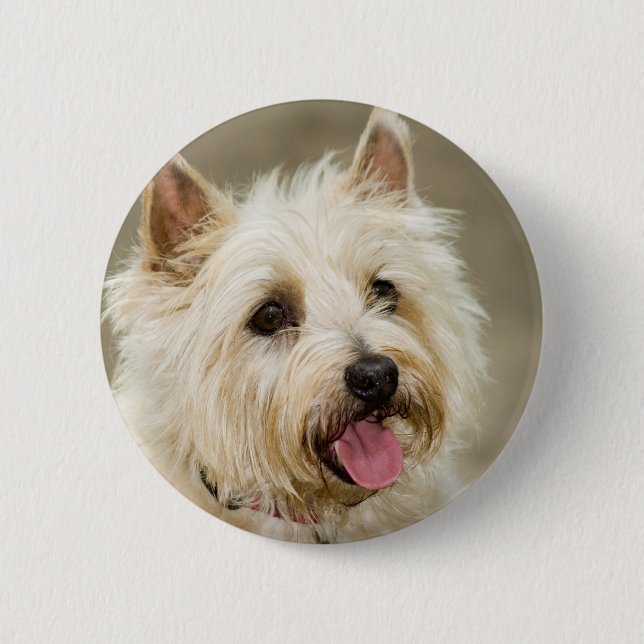 Bóton Redondo 5.08cm O gengibre sorri pino (Frente)