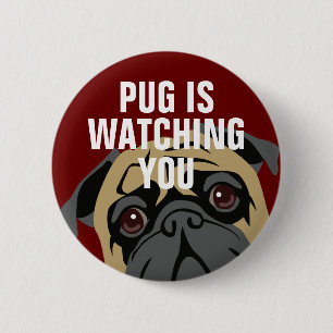 Bóton Redondo 5.08cm O Pug está olhando