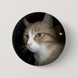 Bóton Redondo 5.08cm O que ele está pensando?