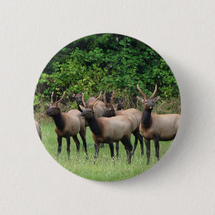 Bóton Redondo 5.08cm O Roosevelt Elk Herd