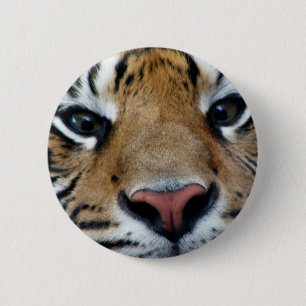 Bóton Redondo 5.08cm O tigre Eyes o botão