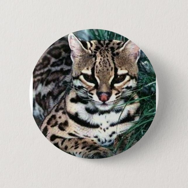 Bóton Redondo 5.08cm Ocelot (Frente)