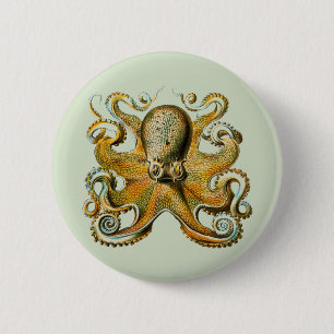 Bóton Redondo 5.08cm Octopus