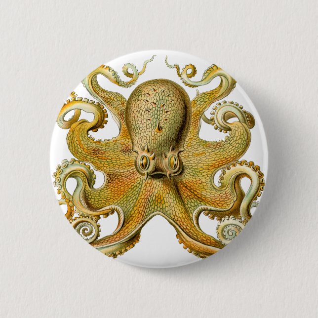 Bóton Redondo 5.08cm Octopus de Ernst Haeckel (Frente)