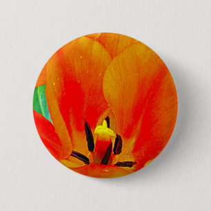 Bóton Redondo 5.08cm Orange Tulip