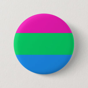 Bóton Redondo 5.08cm Orgulho Polisexual Sinalizador LGBT Orgulho LGBT