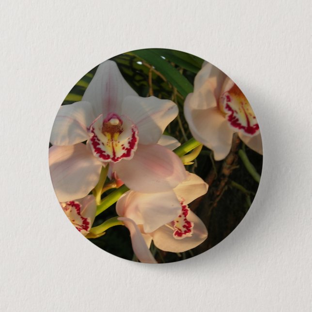 Bóton Redondo 5.08cm Orquídea (Frente)