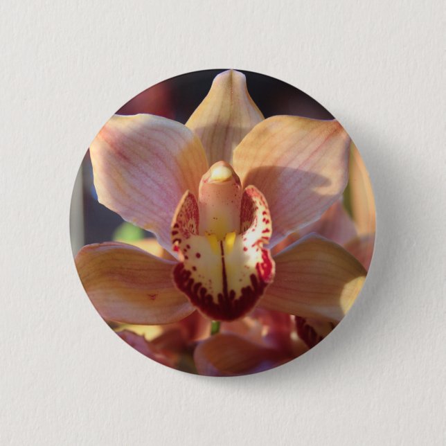 Bóton Redondo 5.08cm Orquídea da manhã (Frente)