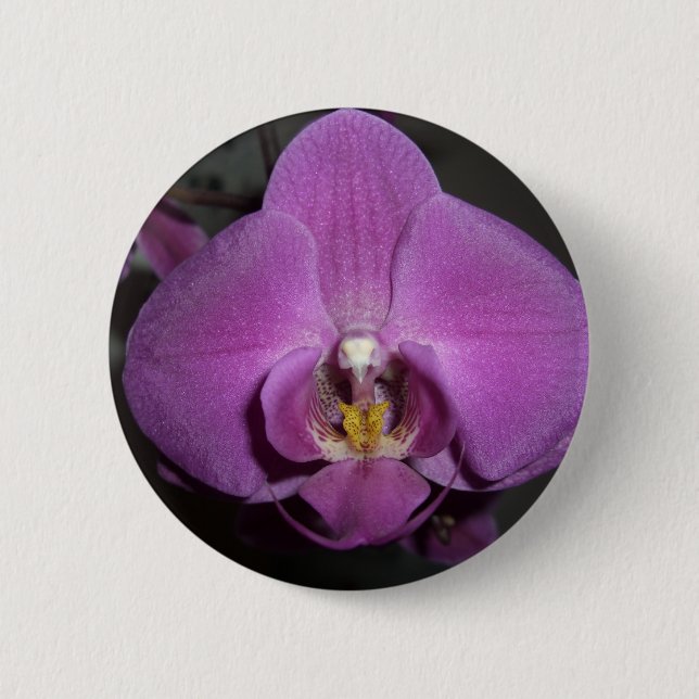 Bóton Redondo 5.08cm Orquídea roxa amarela principal do leopardo (Frente)