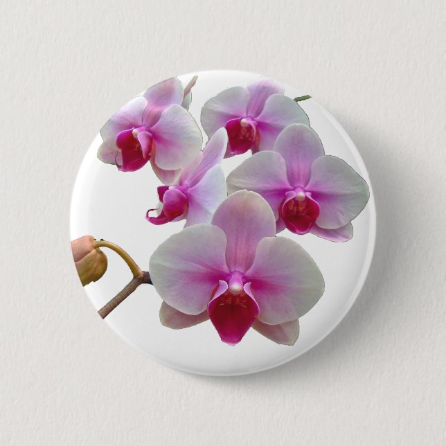 Bóton Redondo 5.08cm Orquídeas-Mama rosa - Phalaenopsis (Frente)