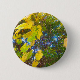 Bóton Redondo 5.08cm Ouro