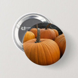 Bóton Redondo 5.08cm Outono Colheita Pumpkins Laranja