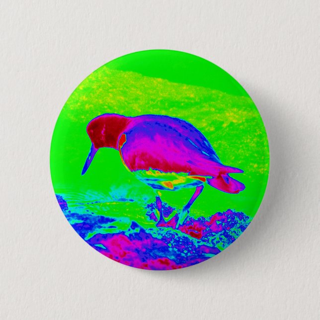 Bóton Redondo 5.08cm Oyster Catcher (Frente)