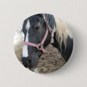 Bóton Redondo 5.08cm Paint Pinto Horse