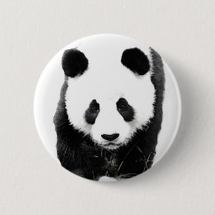 Bóton Redondo 5.08cm Panda