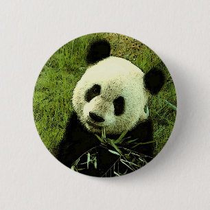 Bóton Redondo 5.08cm Panda