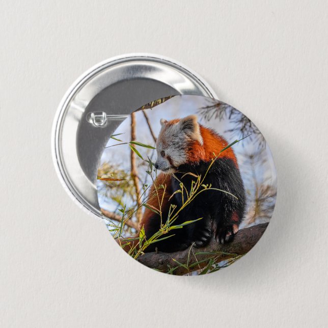 Bóton Redondo 5.08cm Panda vermelha (Frente & Verso)