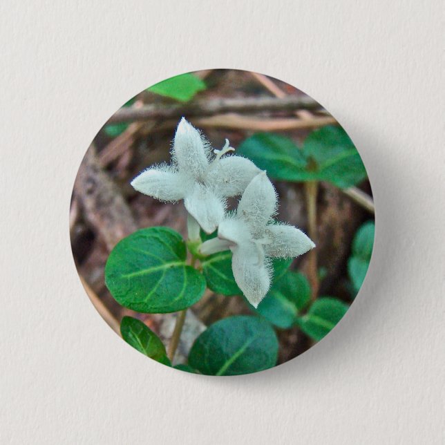 Bóton Redondo 5.08cm Partridge Berry Wildflower (Frente)