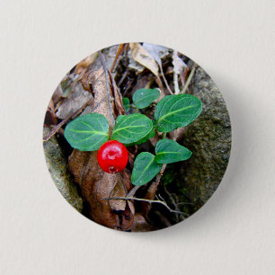 Bóton Redondo 5.08cm Partridge Berry Wildflower