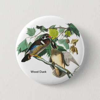 Bóton Redondo 5.08cm Pato de madeira de John James Audubon, Birdwatcher