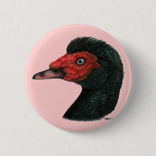 Bóton Redondo 5.08cm Pato:  Muscovy Head