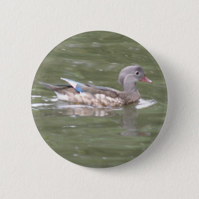 Bóton Redondo 5.08cm Pato no lago Button (Frente)