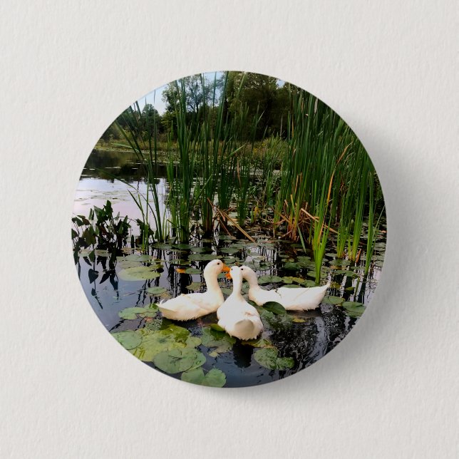 Bóton Redondo 5.08cm Patos brancos clássicos em um belo lago (Frente)
