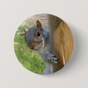 Bóton Redondo 5.08cm Peekaboo!