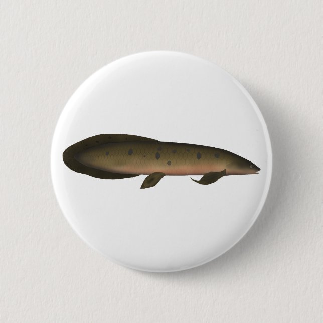 Bóton Redondo 5.08cm Peixe-pulmão australiano (Frente)