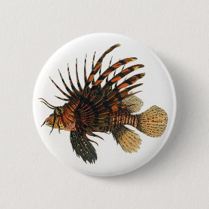 Bóton Redondo 5.08cm Peixes do Lionfish do vintage, animal marinho da