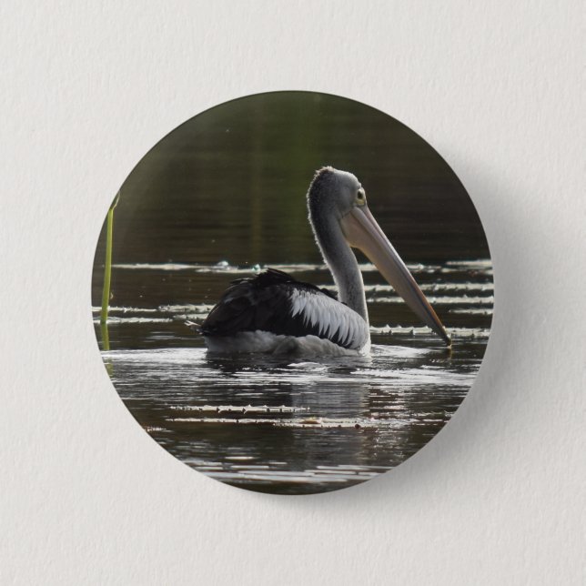 BÓTON REDONDO 5.08CM PELICANO QUEENSLAND RURAL AUSTRÁLIA (Frente)