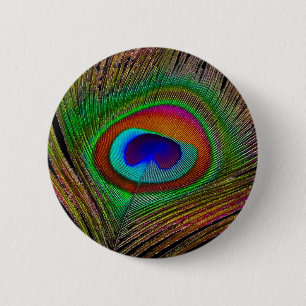 Bóton Redondo 5.08cm Pena de Pavão de Cobre Vibrante