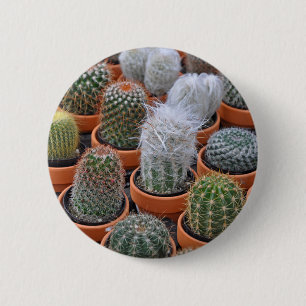 Bóton Redondo 5.08cm Pequenas plantas de cacto
