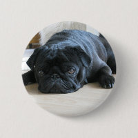 Personalizar o nome dos acessórios do Pug Puppy pr