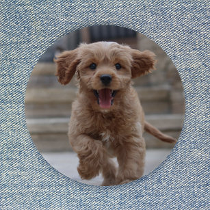 Bóton Redondo 5.08cm Pet Photo   Picture Upload Cute Adorable Dog
