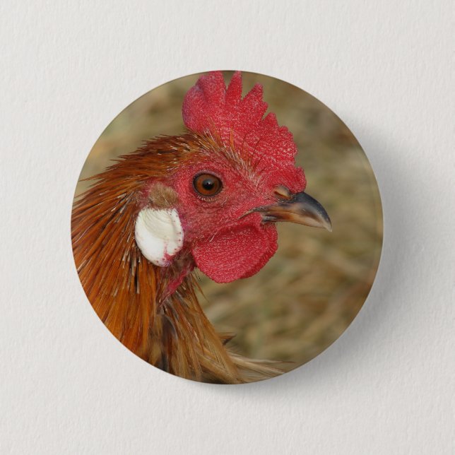 Bóton Redondo 5.08cm Phoenix Rooster (Frente)