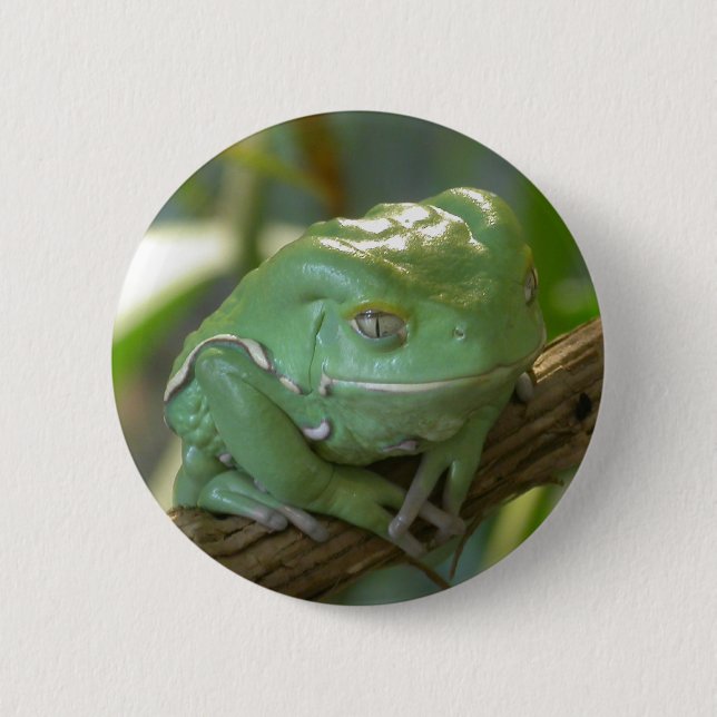 Bóton Redondo 5.08cm Phyllomedusa sauvagii (Frente)