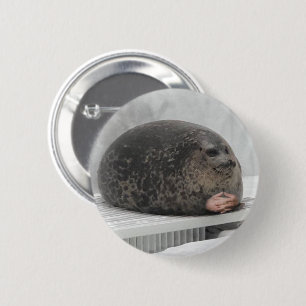 Bóton Redondo 5.08cm Pin Button Julgando foca