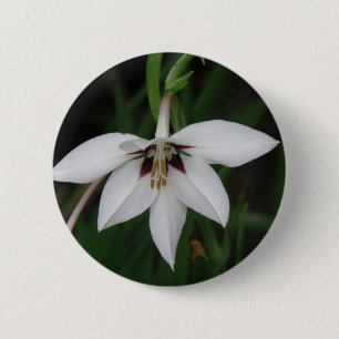 Bóton Redondo 5.08cm Pin redondo da flor da orquídea