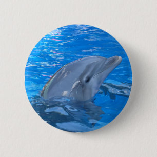 Bóton Redondo 5.08cm Pin redondo do golfinho de Bottlenose