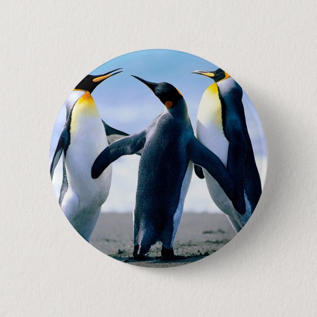 Bóton Redondo 5.08cm Pinguins (Frente)
