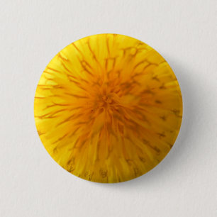Bóton Redondo 5.08cm Pino de Dandeion