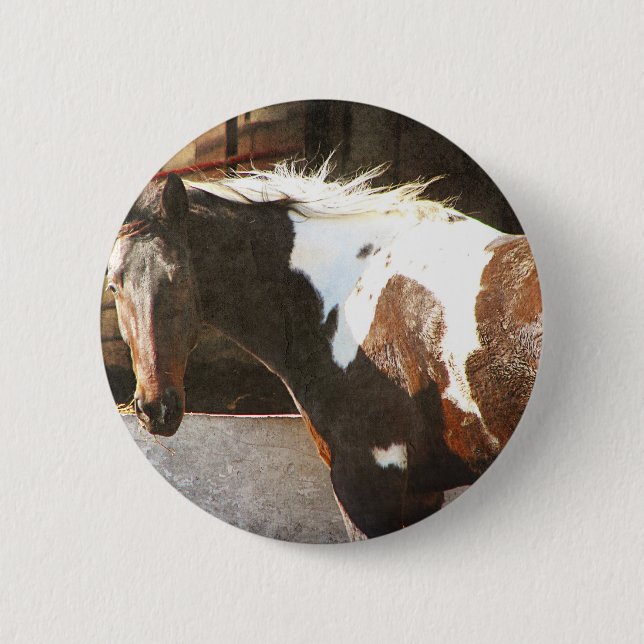 Bóton Redondo 5.08cm Pinto Cavalo (Frente)