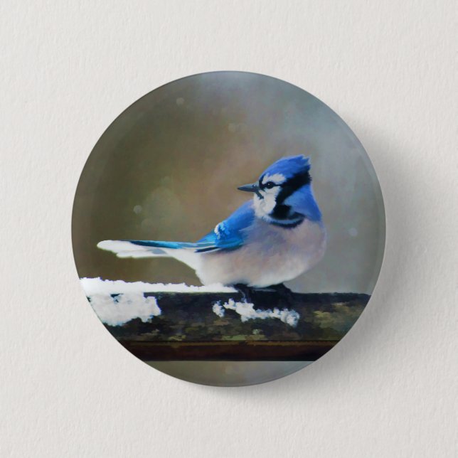 Bóton Redondo 5.08cm Pintura Blue Jay - Arte Original para Pássaros (Frente)