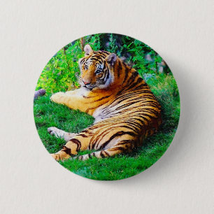 Bóton Redondo 5.08cm Pintura de Tigre de Salto