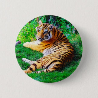 Bóton Redondo 5.08cm Pintura de Tigre de Salto