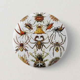 Bóton Redondo 5.08cm Placa aranhas Ouro Haeckel 66