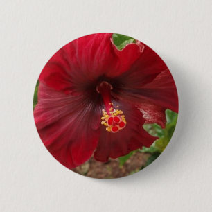 Bóton Redondo 5.08cm planta vermelha do hibiscus de Havaí