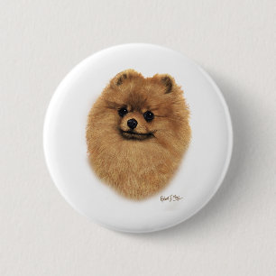 Bóton Redondo 5.08cm Pomeranian