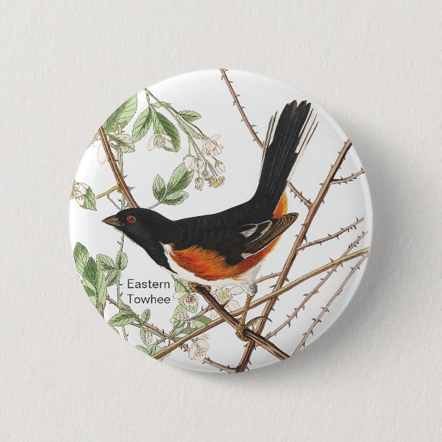 Bóton Redondo 5.08cm Ponta Oriental, Audubon, Pássaro Birdwatcher de ol (Frente)